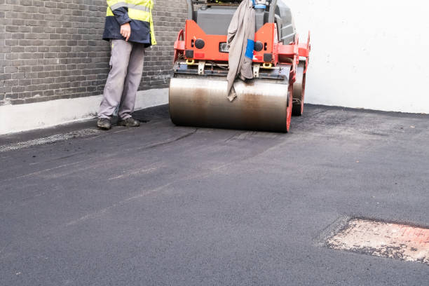 Best Driveway Border and Edging  in Overton, TX